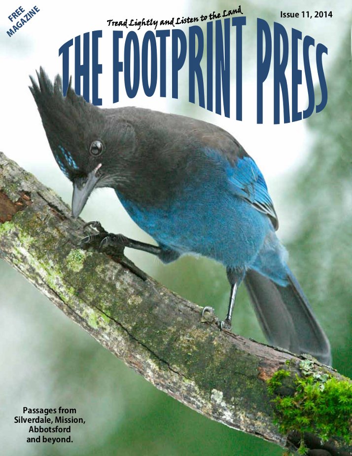 Footprint Press Issue 11