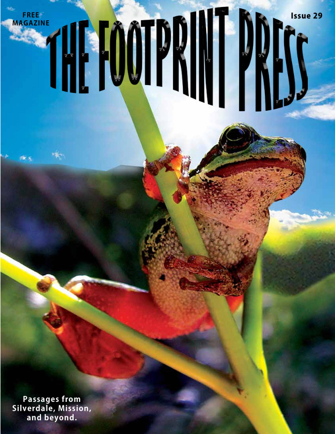 Footprint Press Issue 29